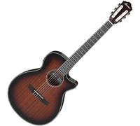 Ibanez AEG74N-MHS