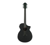 Ibanez AEWC621-BOT