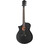 Ibanez AEWC621L-BOT
