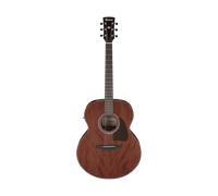 Ibanez AJ54E-OPN Open Pore Natural