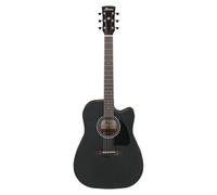 Ibanez AW247CE-WKH