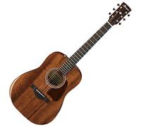 IBANEZ - AW54JR OPEN PORE NATURAL ARTWOOD - Guitar folk