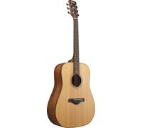 Ibanez AW65-LG Chitarre Western