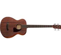 IBANEZ PCBE12-OPN BASSO ACUSTICO ELETTRIFICATO 4 corde ,NUOVO