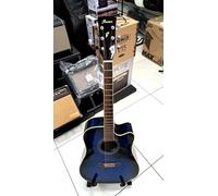 Ibanez PF15ECE-TBS Bundle