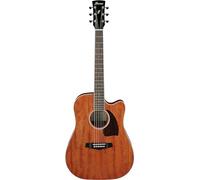 Ibanez Acoustic guitar / PF16MWCEOPN Standard