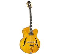 Ibanez Chitarra Elettrica semicaja PM2 AA