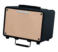 Ibanez T30 - Combo per chitarra acustica - 30W - 1 x 8"
