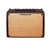 Ibanez T30II Amplificatore combo Transistor per chitarra acustica 30W