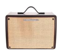 Ibanez T30II-U Amplificatore combo Troubadour per chitarra acustica, 30W