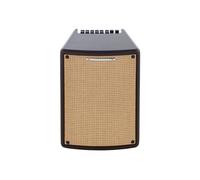 IBANEZ T80II Troubadour Combo per Chitarra Acustica 80W