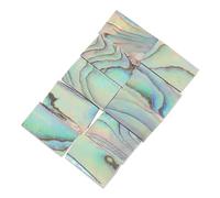 ibasenice 10pezzi Strisce Decorazione Abalone Per Chitarra Inserto Naturale Shell Per Falegnameria Strumenti Musicali Decorazione Te Per Sound Wheel