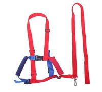 ibasenice 1set Imbracature e Guinzagli Per Ragazzo Ragazza Regolabile e Portatile Sicurezza Per Passeggiate Con Toddler Design Adorabile Per Bimbi Accessorio Essenziale Per Genitori Attenti