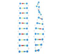 ibasenice 2 Kit Dna Doppia Didattico Genetica per Studenti e Insegnanti Struttura Molecolare per Apprendimento Scienze e