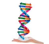 ibasenice 2 pezzi Struttura Dna Doppia Spirale Ausilio Didattico Scientifico Autocostruibile Componenti Struttura Doppia per Apprendimento Biologia e Genetica