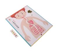ibasenice 4 Set Modelli Digerente DIY Kit Educativo Scienza per Apprendimento Pratico Materiali Creativi per Genitori Gioco Didattico Anatomia Realistica