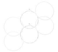 ibasenice Accessori Musicali Resistenti per Balalaika 6 Pezzi Design Ottimizzato Corde in Nylon e Colore Argento per Pratica Quotidiana e Educazione Tradizionale Russa
