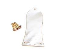 ibasenice Accessorio per Chitarra Elettrica Truss Rod Cover Design a 3 Fori Guscio da 1 74 Mm Adatto per Chitarre