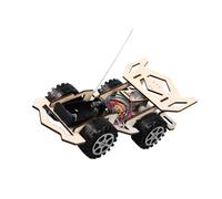 ibasenice Auto da Corsa Telecomandata Legno Kit DIY Educativo Stem per Ragazzi Assemblaggio Manuale per Sviluppo Intellettivo e Abilità Motorie Materiale Ecologico e Sicuro per Regali e