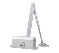 ibasenice Chiudiporta Idraulico Automatico in Alluminio Argento 10-50 Kg