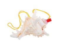 ibasenice Conchiglia Naturale Per Suonare Fischietto Decorativo in Conchiglia Strumento