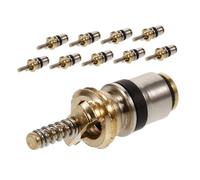 ibasenice Kit 10 Pezzi Nucleo Valvola Aria Condizionata Auto in Rame per Impianto R134a3 Alta Durabilità e Facile Installazione per Riparazione e Ricarica