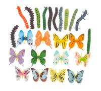 ibasenice Modelli Insetti Realistici Farfalle e Bruchi Simulati in Plastica Giocattoli Educativi per Apprendimento Cognitivo e Giochi Creativi