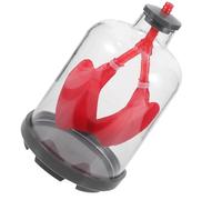 ibasenice Modello Anatomico di Polmone Educativo in Plastica e Gomma Due Sacchi Simili ai Polmoni e Diaframma in Gomma per Lezioni di Fisiologia e Simulazione Respiratoria