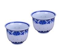 ibasenice Set 2 Tazzine da Tè in Porcellana Bianca Stile Vintage Cinese Design Retrò, Pratiche e Decorative per Degustazione Elegante