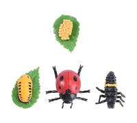 ibasenice Set Esposizione Evoluzione Animale Decorazioni per Feste e Strumenti Didattici Giocattolo Insetti Ciclo di Vita per