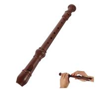 ibasenice Soprano Recorder Per Ragazzo Ragazza Flauto Per Principianti Strumento Musicale Educativo Per Ragazzi e Adulti Per Coltivare Interesse Musicale