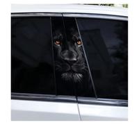 IBENZIGH Adesivi Decorativi Fai da Te A Forma di Leone per Il Montante della Portiera Dell'auto Adesivi Impermeabili E AntiGraffio per Il Montante B Dell'auto Decorazione Auto(Type J)