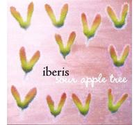 Iberis - Sour Apple Tree