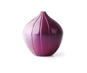 IBILI GUARDA CEBOLLAS, Plastik