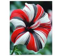 Ibisco Doppi Resistenti al Gelo,Varietà Classiche Multicolori,Essenziali per la Progettazione Del Paesaggio.- 3Wurzel-D