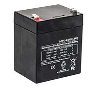 Ibiza Sound - Batteria sostitutiva PORT10VHF-BT, PORT12VHF-BT 12 V 4,5 Ah