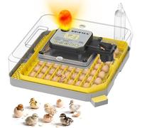 IBKINXX Incubatrice per uova da cova - Capacità 48 uova, 2026 tornitore automatico per uova e sistema di controllo automatico dell'umidità di precisione, visualizzazione chiara a 360° per uova di