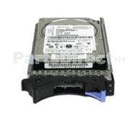 IBM 146 GB hard disk interno 6,3 cm