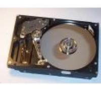 IBM 44 x 2458 IBM 1TB 7.2 Krpm SATA e-ddm