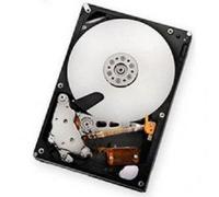 IBM 59y5536 2000 GB Serial ATA150 7200 TRS/min