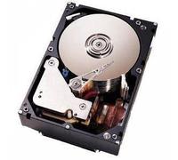IBM 73GB 15K NHS SCSI