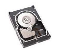 IBM Disco rigido hot-swap da 36,4 GB 15000 giri/min 2 Gbps (06P5772)