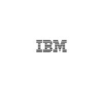 Ibm - Mouse