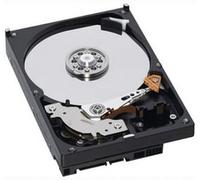 IBM Spare Disco rigido E-DDM da 600 Gb FC 4 Gbps 15K di riserva