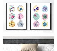 IBUKHSDGYIFH Wall Art Canvas Painting Microbiologia Batteri Medicina Scienza Poster e stampe Immagine Cellule Studio di biologia Decorazione soggiorno Senza cornice-30x40cmx2