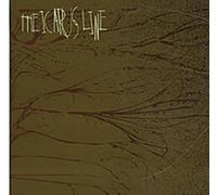 Icarus Line, The - Up Against the Wall