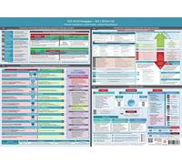 ICD-10 (F) Navigator Wandposter (2018) - Ideal zur Prüfungsvorbereitung für Heilpraktiker Psychotherapie (PSY) - Teil 1 (F0 bis F3):: - Schnell orientieren, leicht finden, einfach klassifizieren (DINA2, Hochglanz)