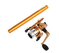 ICDKOYK Canna da pesca e mulinello Mini canna da pesca sul ghiaccio Attrezzatura per bambini Mulinello affidabile e scorrevole per avventure all'aria aperta Penna Asta, Oro, Espandi lunghezza 100 cm