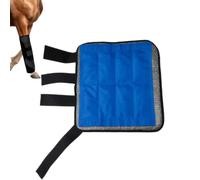 Ice Boots for Horses Reusable Equine Ankle Cold Wrap