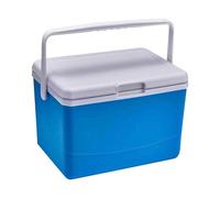 Ice Box, Insulated Hard Cooler, 11.02x8.46x7.68 Inches, Heavy Duty 5ml Multifunctional with Cold Retention, Portable Camping Cooler for Outdoor Picnic Fishing Travel Beach Bbq Tailgating Sports Car